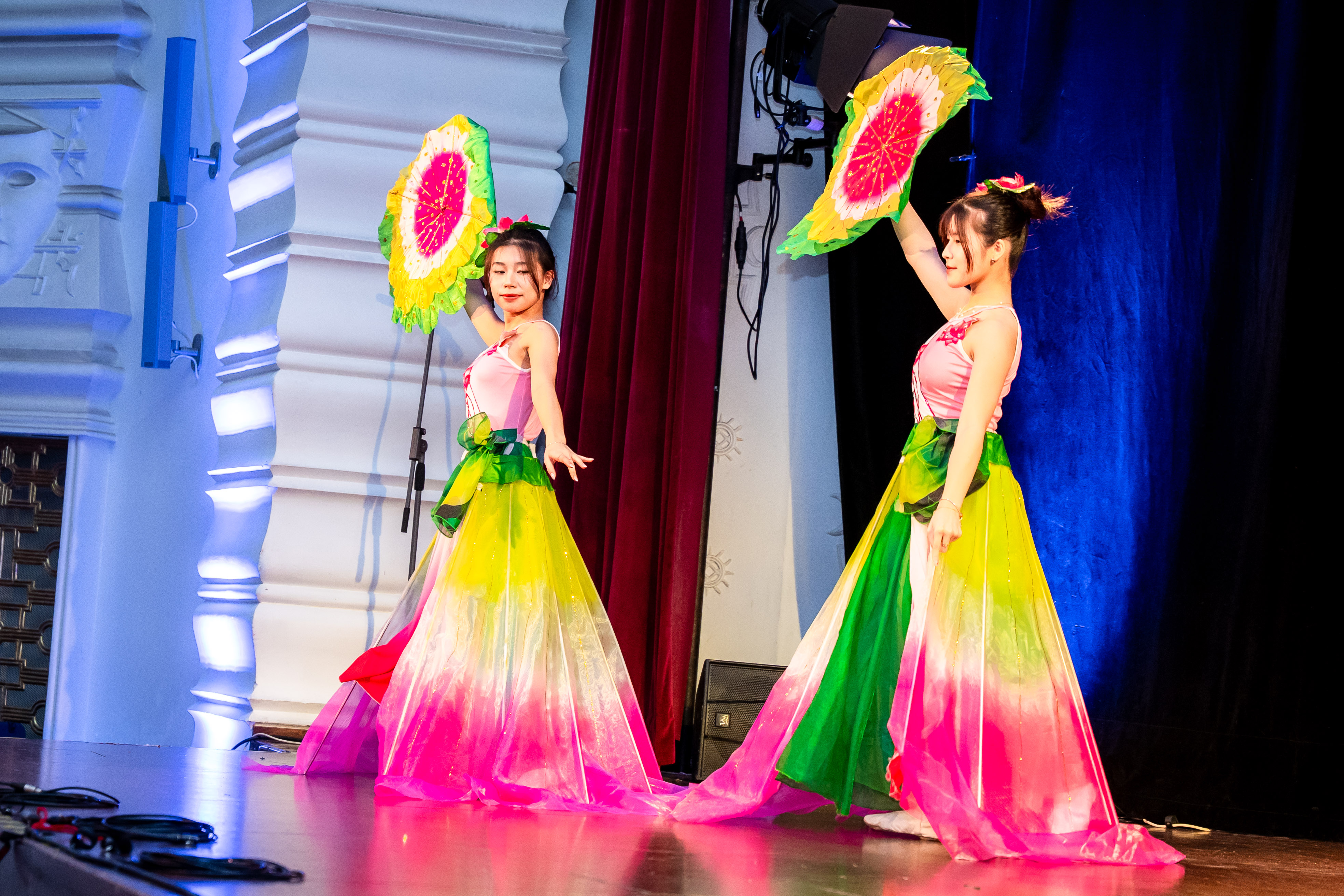 Vecer narodnostnych mensin -10